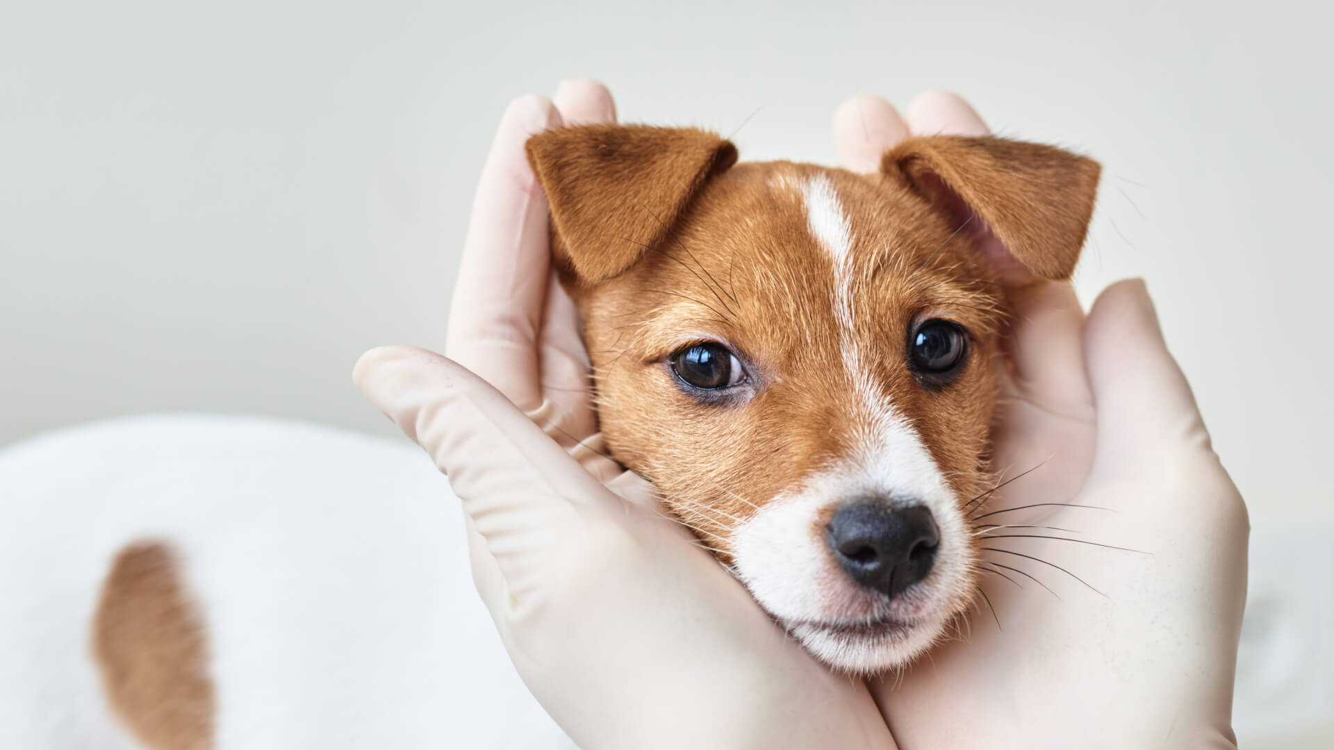 根植大肚山：帶著專業，回到最初的起點